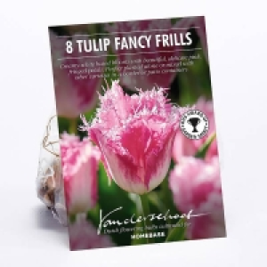Tulip Fancy Frills £2.00
