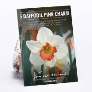 Daffodil Pink Charm Plant Bulbs £2.00