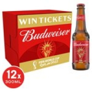 Budweiser Lager Beer Bottles £12.00