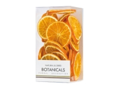 Botanical Decorations