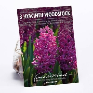 Hyacinth Woodstock £2.00