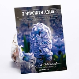 Hyacinth Aqua £2.00