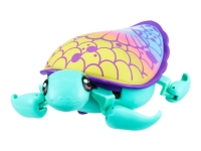 Little Live Pets Assortment