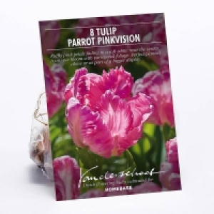 Tulip Parrot Pinkvision £2.00