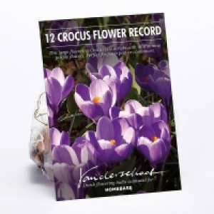Crocus Flower Record £1.00