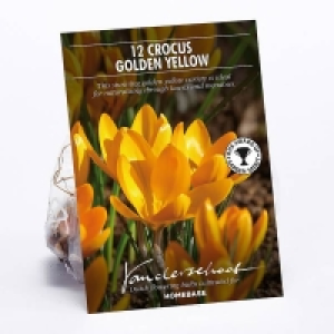 Crocus Golden Yellow £1.00