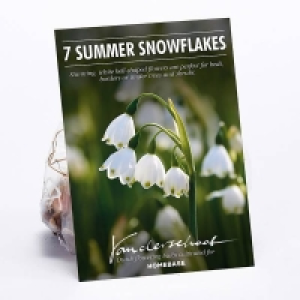 Summer Snowflakes £1.00
