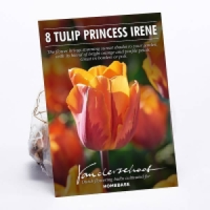 Tulip Princess Irene £1.00