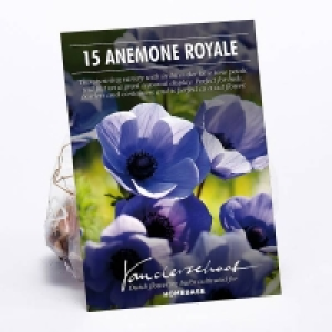 Anemone Royale Flower bulbs £1.00