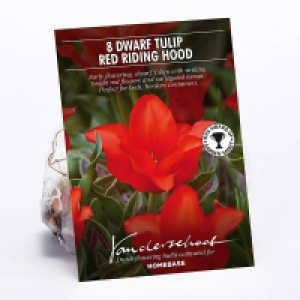 Dwarf Tulip Red Riding Hood £1.00
