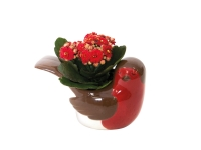 Sisal Robin Planter
