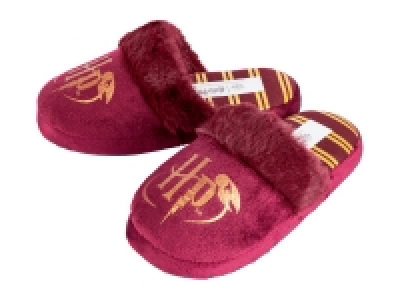 Kids Harry Potter Slippers