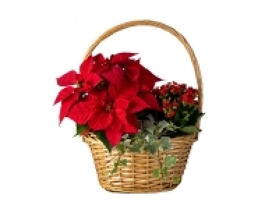 Lidl  Christmas Basket