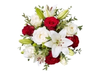 Christmas Rose < Lily