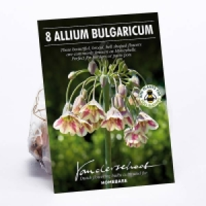 Allium Bulgaricum £1.00