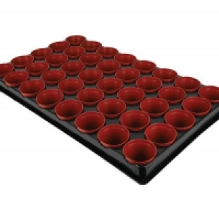 Seed And Cutting Tray - 40 Pots £7.00