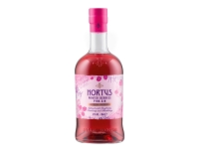 Lidl  Hortus Winter Berries Pink Gin