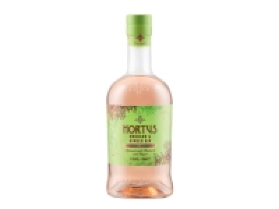 Lidl  Hortus Rhubarb and Ginger Gin