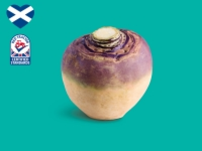 Scottish Swede