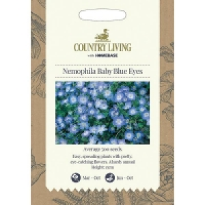 Country Living Nemophila Baby Blue Eyes Seeds £2.20