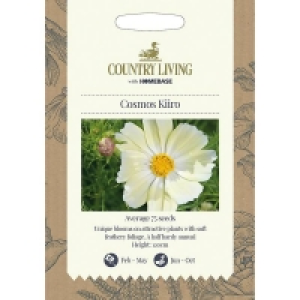 Country Living Cosmos Kiiro Seeds £2.40