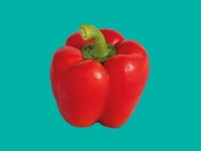 Red Pepper