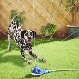 Pet Whale Sprinkler