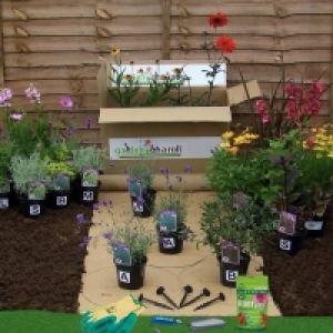 Garden on a Roll Eco Border - 7m x 40cm &pound;148.00