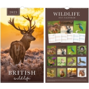 Midi Calendar 2023 - British Wildlife