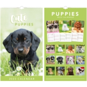 Midi Calendar 2023 - Puppies