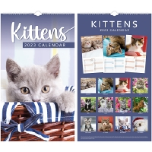 Midi Calendar 2023 - Kittens