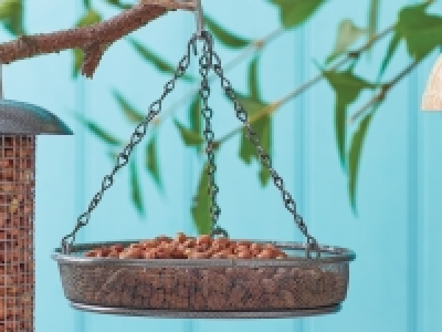 Oakdale Hanging Feeder Tray