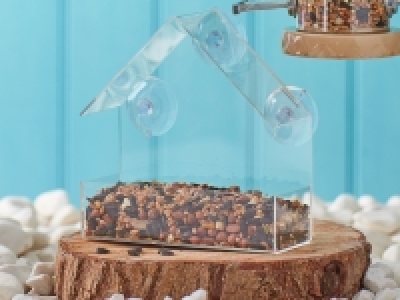 Oakdale Window Feeder