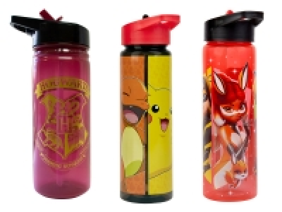 Zak 600ml Character Water Bottle £3.49