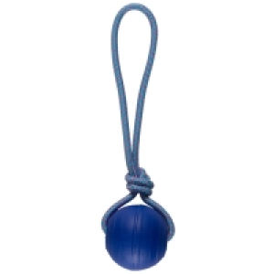 Floating Dog Toy - Blue Ball