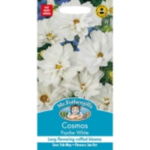 Mr. Fothergills Cosmos Psyche White Seeds £2.40