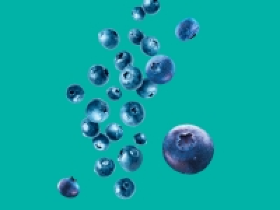 Blueberries £1.19