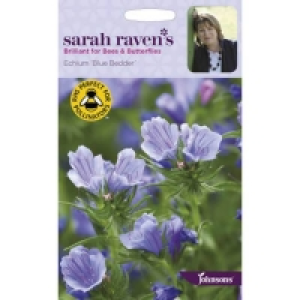 Sarah Ravens Echium Blue Bedder Seeds £3.10