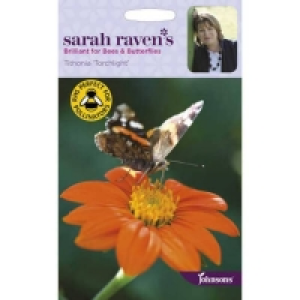 Sarah Ravens Tithonia Torchlight Seeds £2.85