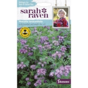 Sarah Ravens Phacelia Tanacetifolla Seeds £2.65