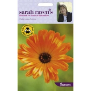 Sarah Ravens Calendula Pot Marigold Nova Seeds £3.10