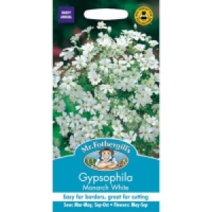 Mr. Fothergills Gypsophilia Monarch White Seeds £1.45