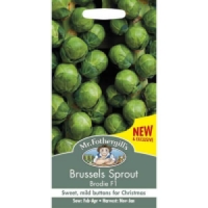 Mr. Fothergills Brussels Sprout Brodie F1 Seeds £3.60