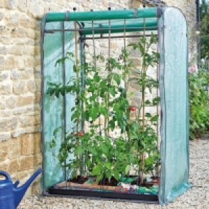 RobertDyas  Gro-Zone Tomato Max Growhouse