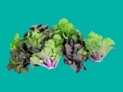 Kalettes £0.99