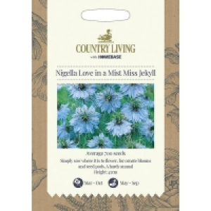 Country Living Nigella Love in a Mist Miss Jekyll Seeds £2.20