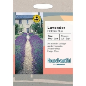 House Beautiful Lavender Hidcote Blue Seeds £2.85