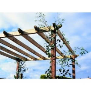 Wickes Deck Bearer 80x80mmx3m £11.99