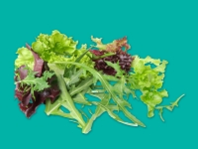Crispy Mixed Leaf Salad