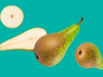 Conference Pears